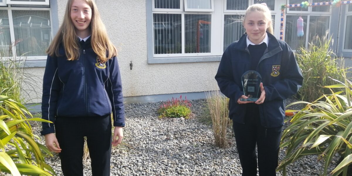 Moate TY students awarded for their projects at SciFest, including ...